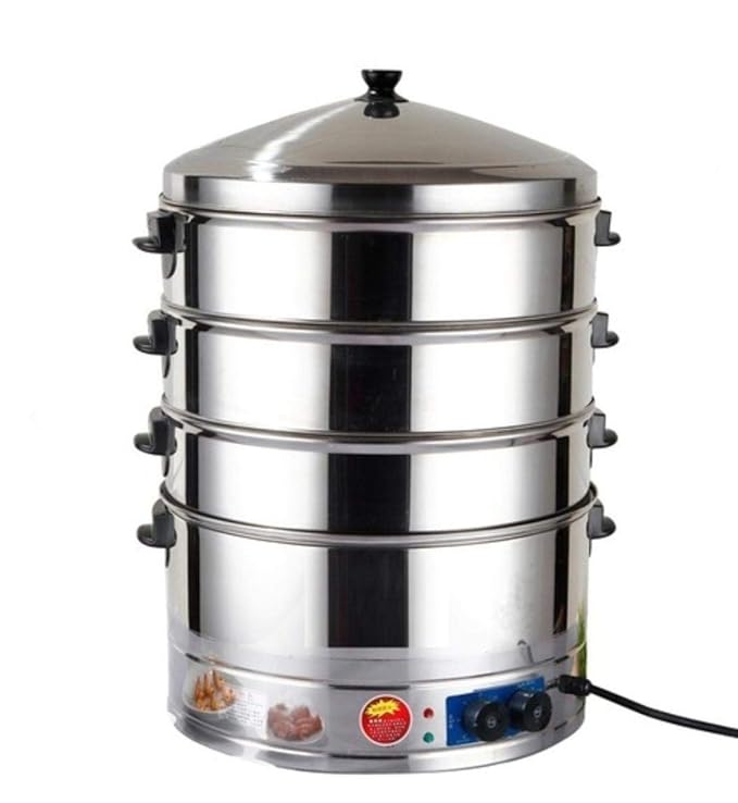 Electric Momo Steamer